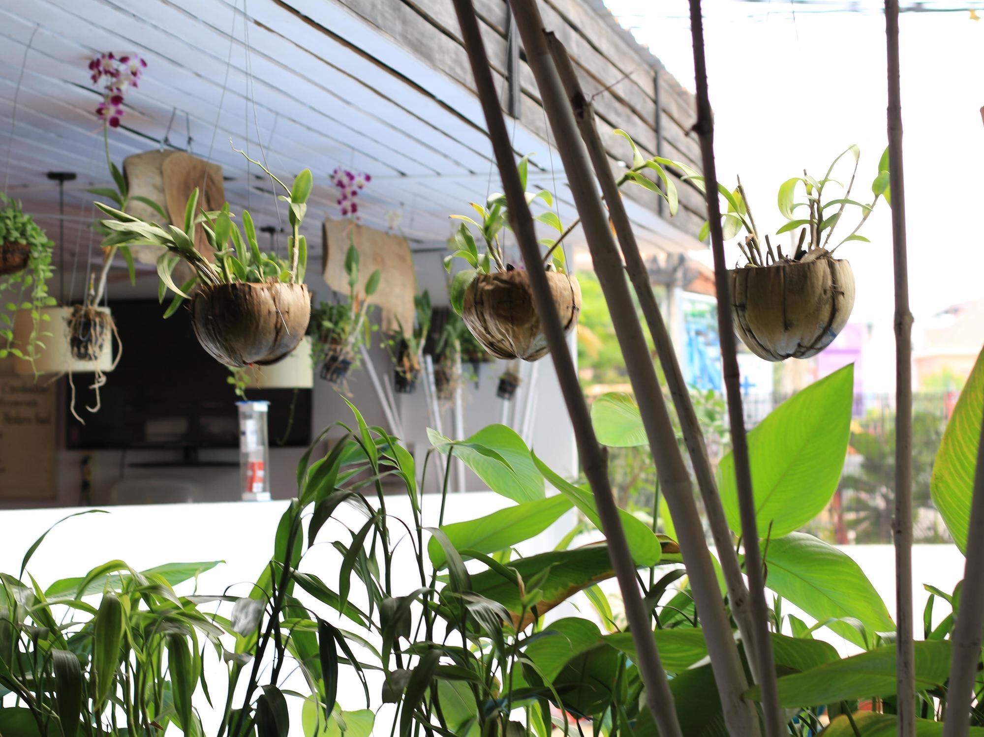 Sok San Street Boutique Hotel Siem Reap Buitenkant foto